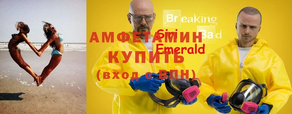 крисы Елабуга