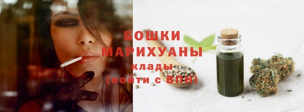 ПСИЛОЦИБИНОВЫЕ ГРИБЫ Елизово