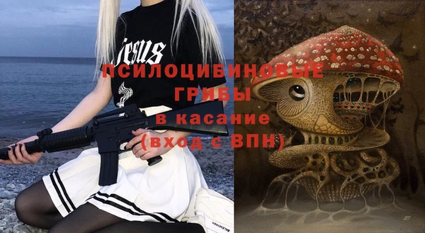 крисы Елабуга