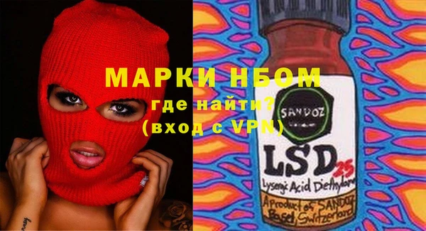 крисы Елабуга