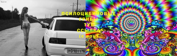 ПСИЛОЦИБИНОВЫЕ ГРИБЫ Елизово