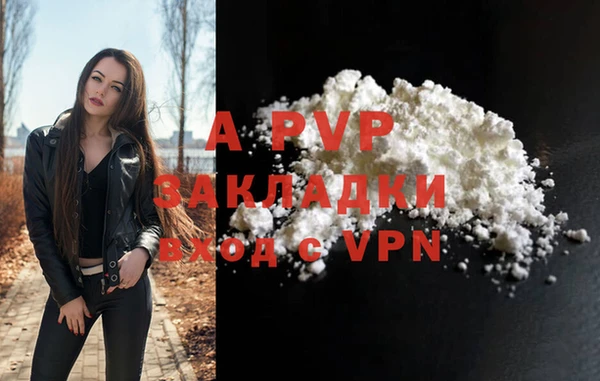 крисы Елабуга