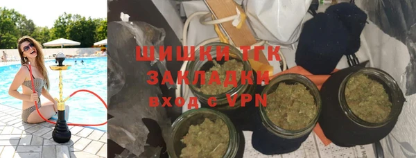 крисы Елабуга