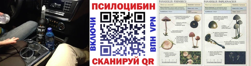 Галлюциногенные грибы GOLDEN TEACHER Тетюши